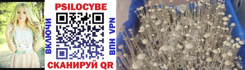 Галлюциногенные грибы мицелий  Купить закладки  Аксай 